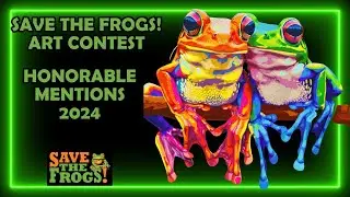 SAVE THE FROGS! Art Contest - Honorable Mentions 2024