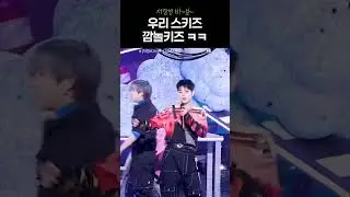 Stray Kids Getting Jump Scared On Stage #skz #straykids #kpop #funny