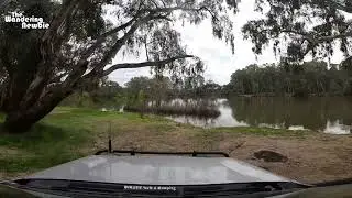 Stantons Bend Campground - Murray River Reserve - Norong - Victoria