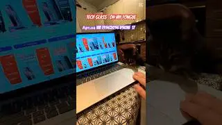 Даже котик в тренде на стекла с автоустановкой Tech Glass-поддержите котика ,а то у него лапки🐱🐱🐱
