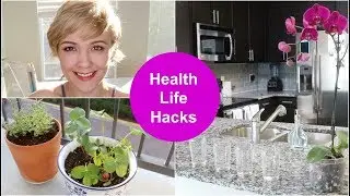 Health and Productivity Hacks