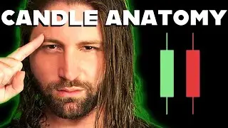CANDLE ANATOMY TUTORIAL (BEGINNER PRICE ACTION CANDLE READING FOR CRYPTO TRADING)