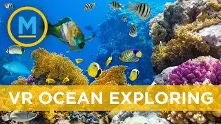 Dalhousie is launching an unforgettable immersive ocean-learning experience | Your Morning