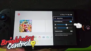 Switch 2 Adjust Brightness