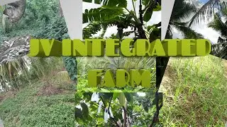 JV INTEGRATED FARMING :IBA'T-IBANG TANIM SA ATING FARM