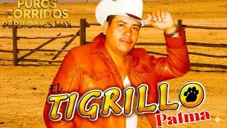 El Tigrillo Palma De Oro 💥 20 Exitos Puros Corridos Mix Para Pistear 2026