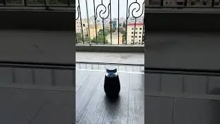 Lg Xboom X02T  & Xiaomi Speaker