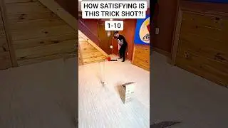 How Satisfying Is This Trick Shot? #satisfying #trickshots #trickshot #shorts