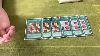 Top 16 GCI Vol 13 - LeoP Goat Control