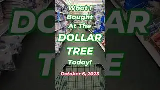 DOLLAR TREE - What I Bought Today!  October 6, 2023 - York, PA #LeighsHome