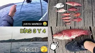 🚤 ¡Mi PRIMERA VEZ pescando en BARCO (Asturias)! 🎣