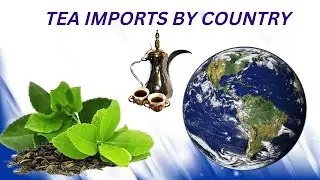 Top 10 countries with highest Tea Imports in the world ?