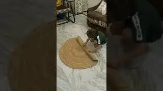 Loomsmith Round Braided Jute Rug