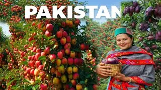 Pakistan&rsquo;s Apple Land | Village Near China Border