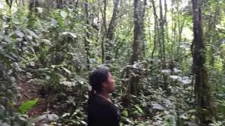 Senderos y cascadas