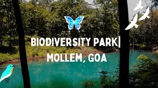 Biodiversity Park | Mollem, Goa