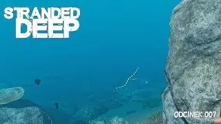 Stranded Deep - #007 | Straciłam głowę