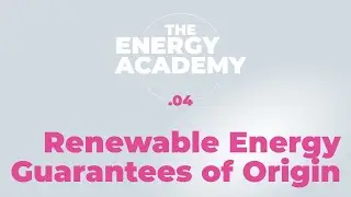 Renewable Energy Guarantees of Origin certificates (REGOs): how do they work?