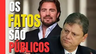 O caminho do dinheiro em S&atilde;o Paulo: doa&ccedil;&otilde;es, privatiza&ccedil;&otilde;es e poder