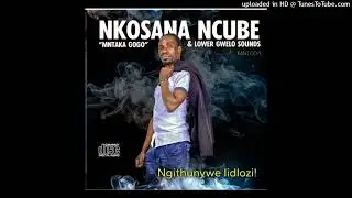 Nkosana Mtakagogo (Umama)