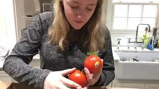 Imperfect Produce Unboxing and Cost 2019