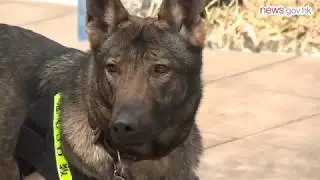 CSD to boost dog training (27.2.2018)