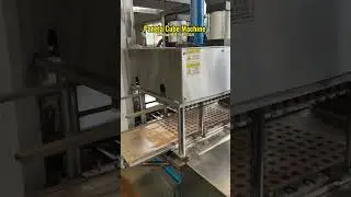 Panela Cube Machine | Brown Sugar Cube Machine | Jaggery Cube Machine