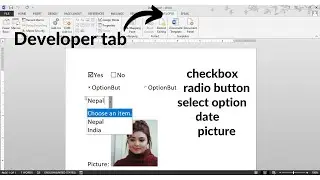 How to use checkbox, radio button, and select option using MS Word | Developer tab in Microsoft Word