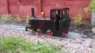 TLR - SM32 Garden railway Mamod Loco in action.