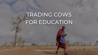 11 Cows for a Classroom |  Wisdom of Maasai | Project FUEL