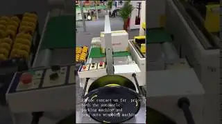 (Steel Strap Seal Clip Machine) automatic packing machine and semi auto wrapping machine