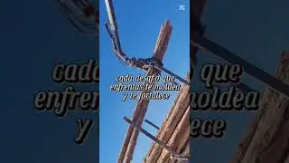 Polines para Cerco #polines #cerco #parcelas #video #shortsvideo #shorts
