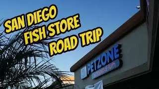 San Diego Fish Store Road Trip - PetZone SD (Convoy St)