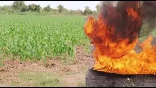Protecci&oacute;n  Contra Las Heladas Que metodos funcionan???