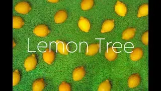 Fools Garden - Lemon Tree (Cover sub Espa&ntilde;ol)