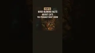 WhiskerWisdom: Top 5 Insane Cat Facts That Will Blow Your Mind