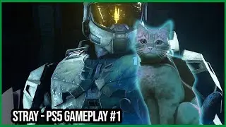Stray PS5 #1 - Mario Gaming Show