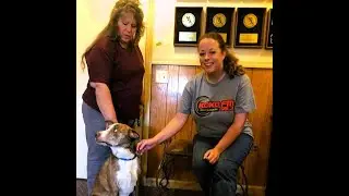KDKD Pet of the Week 07/21/2023: Roscoe