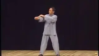 Taijibang - GM Feng Zhiqiang