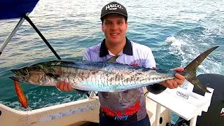 Spanish Mackerel SMASHING Hardbody Lures | Hits within SECONDS!