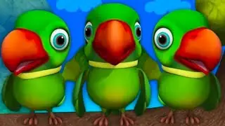 Main Tota Main Tota | Budgie Birds Chirping Sounds | मिट्ठू मिट्ठू 🦜 #parrot #trending #viralvideo