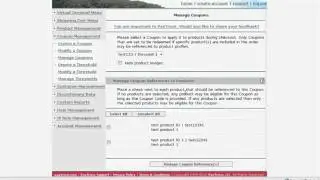 CouponManagement.flv
