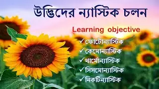 All types of plant nastic movements, with example. Biology