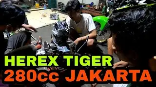 HEREX TIGER 280CC || PUTRA PANDAWA JAKARTA