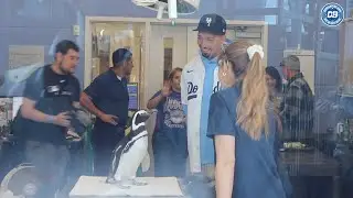 Blake Snell and Landon Knack interact with sharks, penguin & lorikeets for Dodgers Love LA tour