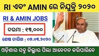 RI & AMIN Recruitment 2020 ! Odisha RI and AMIN jobs recruitment 2020 ! Odisha Job !