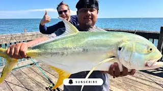PB Fish Landed off Tybee Pier! | Chasing Bull Reds (September 2025)