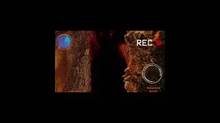Recon Mission YLDANON.....Mana Levels Stable
