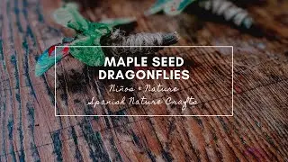 Maple Seed Lib&eacute;lulas - Spanish & Nature Crafts for Kids