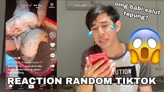 REACTION RANDOM TIKTOK 😂 BABI HIDUP BERSALUT TEPUNG 😭